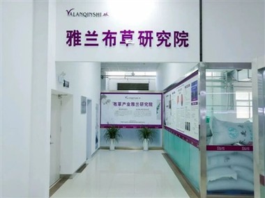 Hur leder Yalan Textile Group den innovativa utvecklingen av linneindustrin?